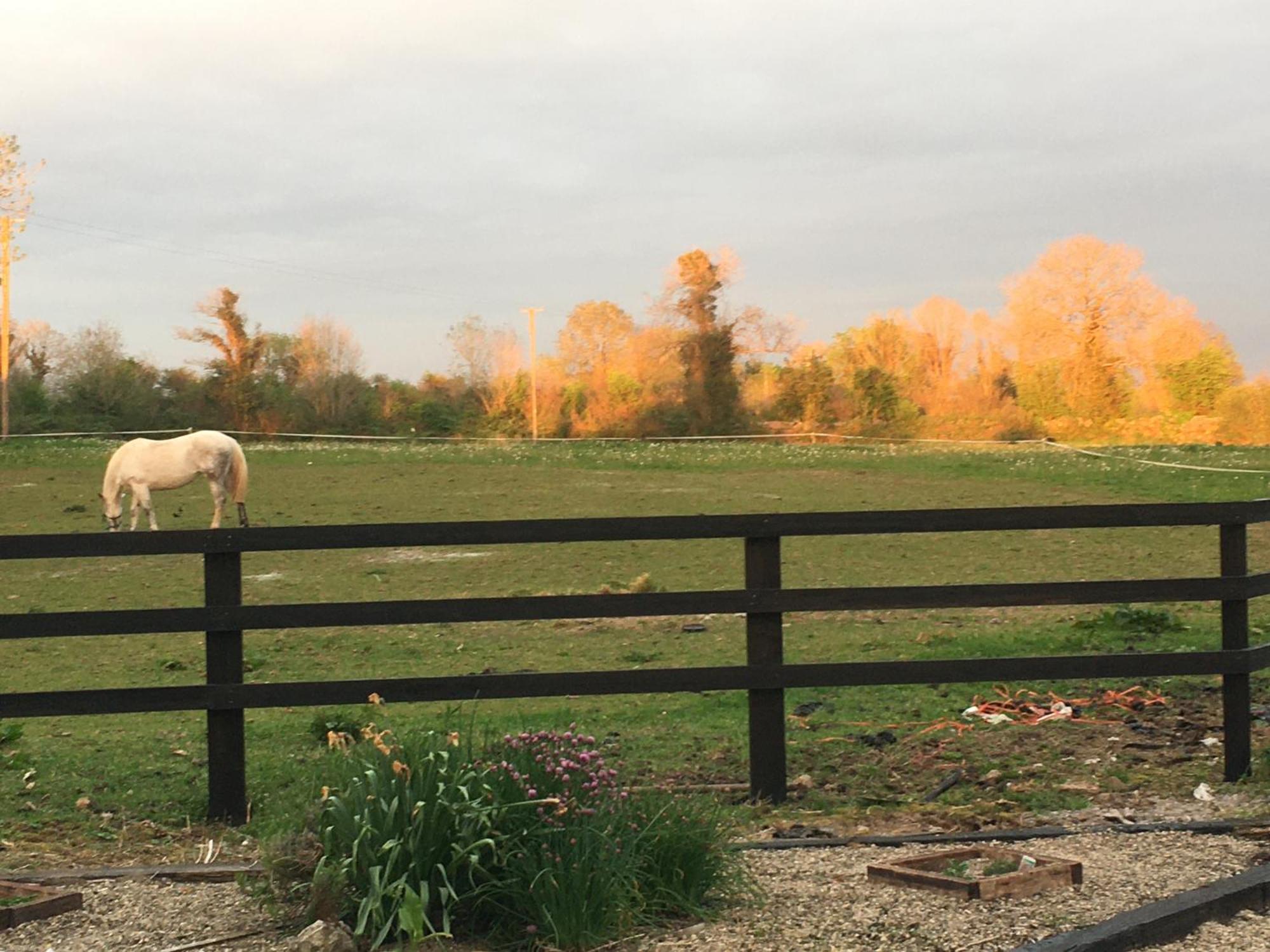 Luxury Country Escape Daire Ennis Dış mekan fotoğraf